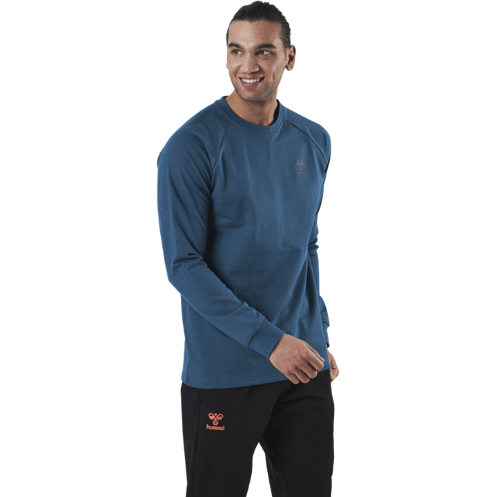 Baumwoll-Sweatshirt Blau/Grau
