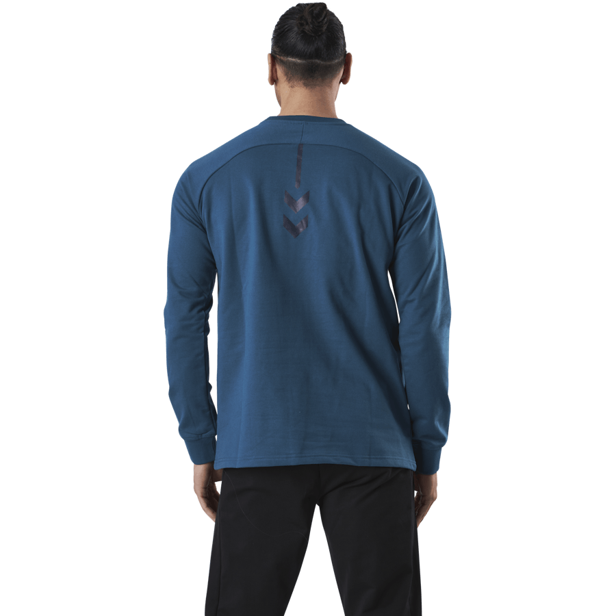 Baumwoll-Sweatshirt Blau/Grau