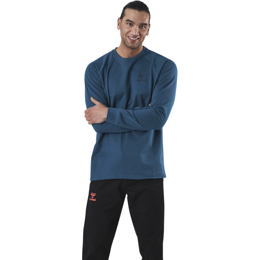 Baumwoll-Sweatshirt Blau/Grau