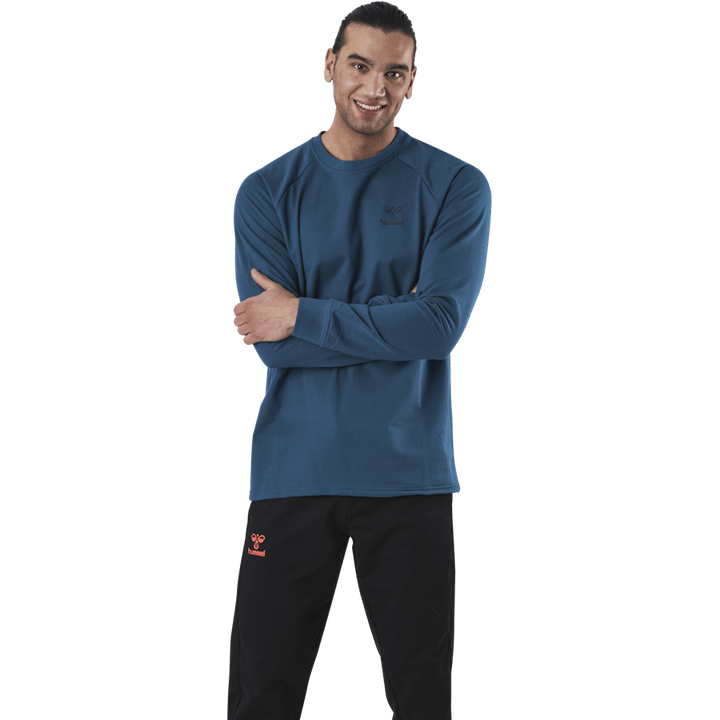 Baumwoll-Sweatshirt Blau/Grau