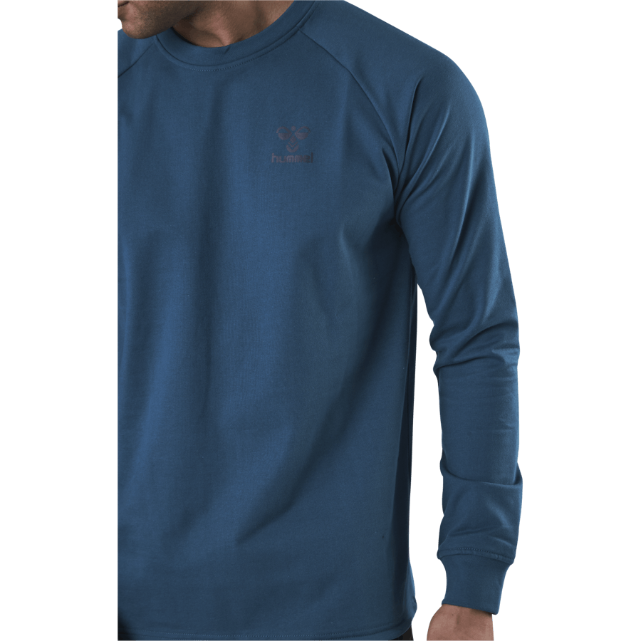 Baumwoll-Sweatshirt Blau/Grau
