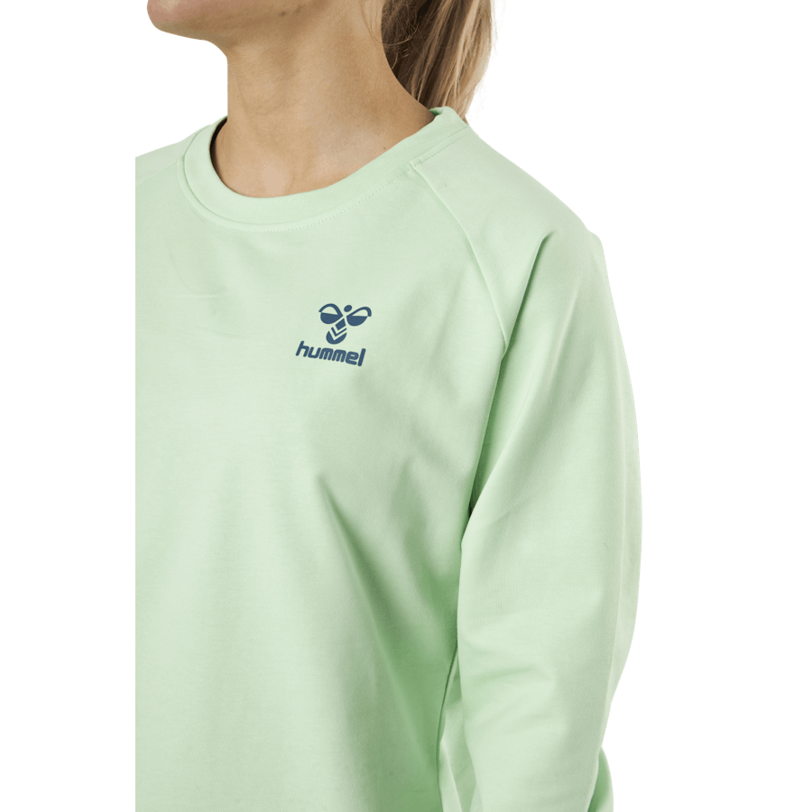 Cotton Sweatshirt Blue/Green