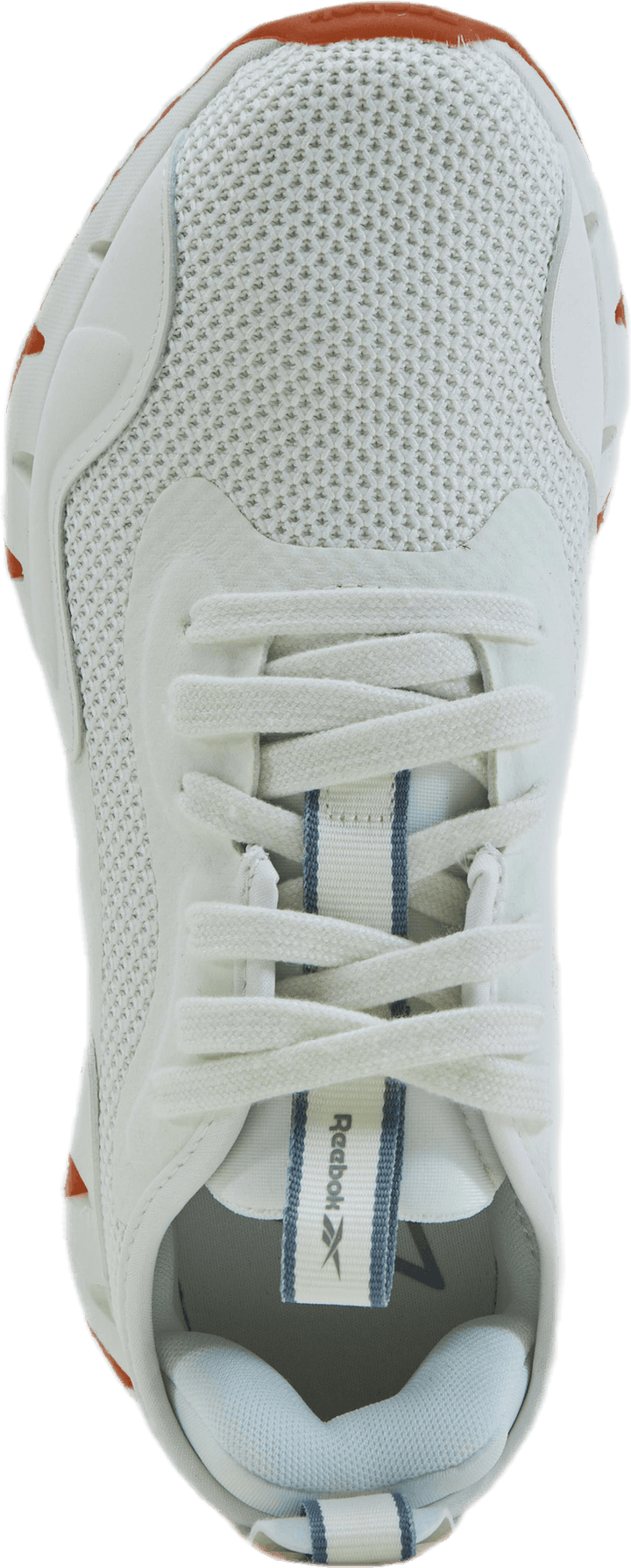 Zig Dynamica Grey