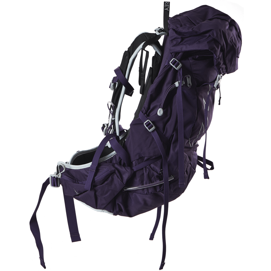 Tempest 30 Purple