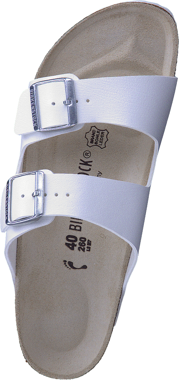Arizona Narrow White