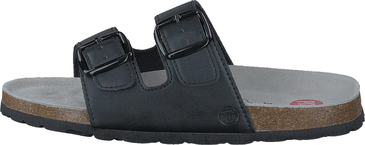 Populus Black 01