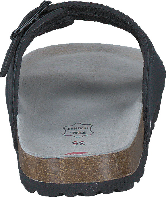 Populus Black 01