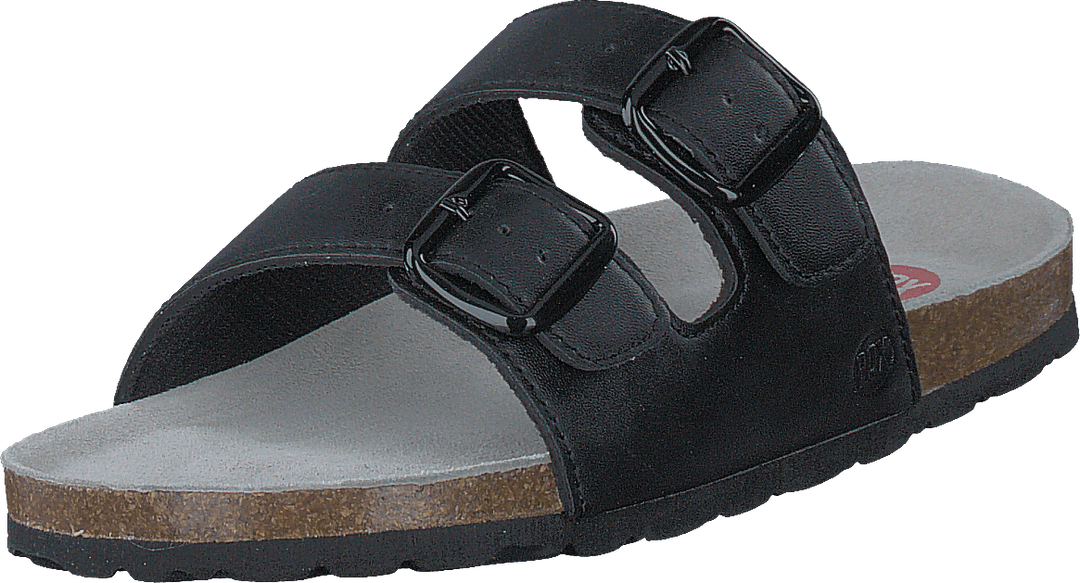 Populus Black 01