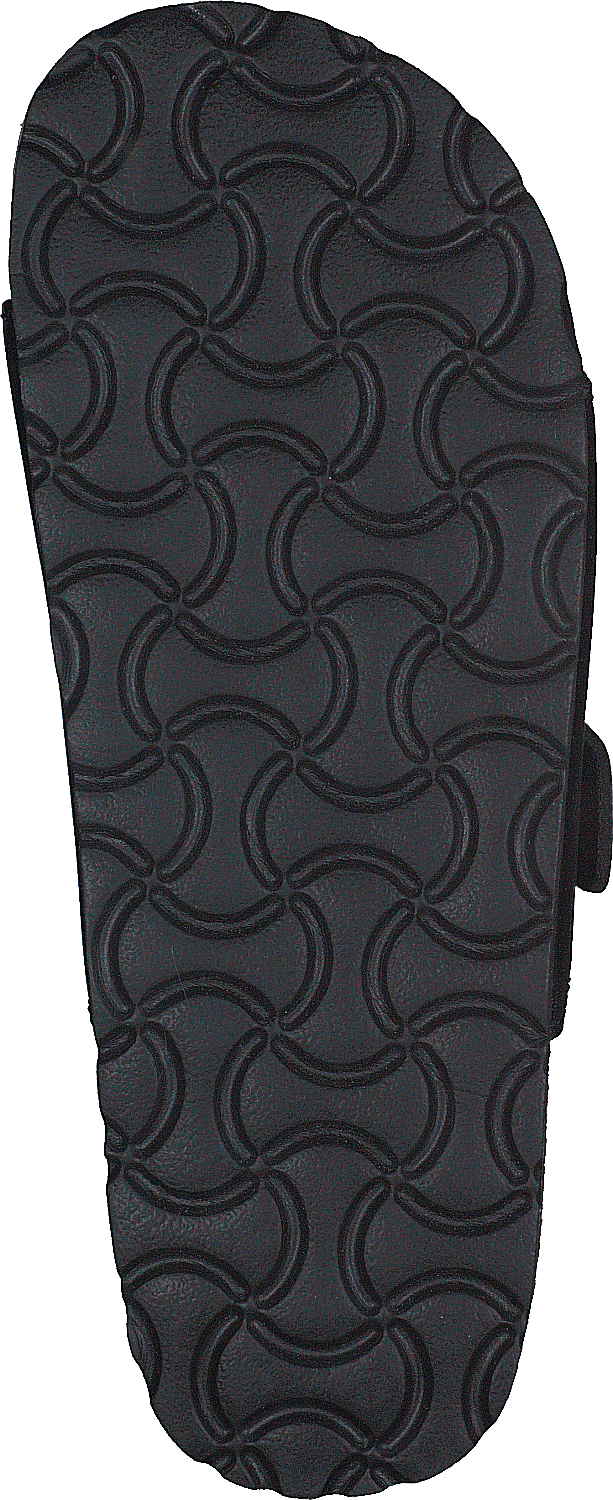 Populus Black 01