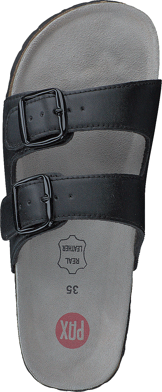 Populus Black 01