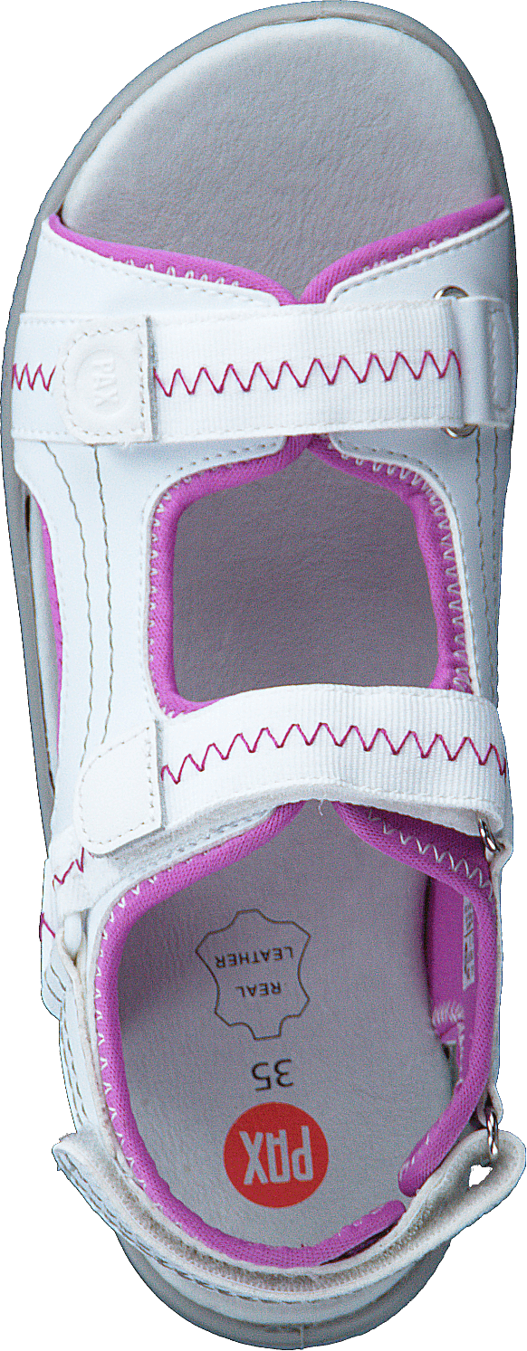 Gadfly White/Lilac 81