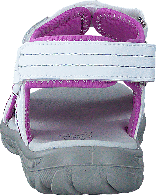 Gadfly White/Lilac 81
