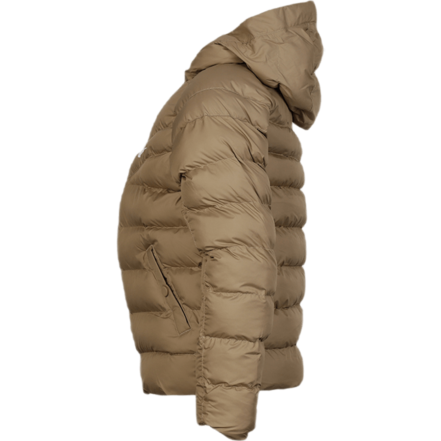 NSW Stadium Jacket Youth Beige