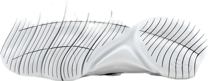 Free Run Flyknit 3.0 White/Black