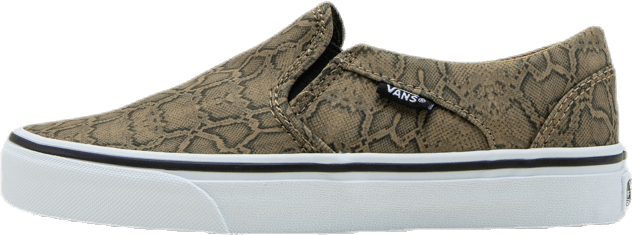 Asher Patterned