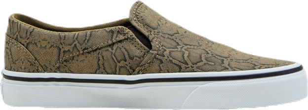 Asher Patterned