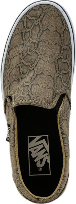 Asher Patterned