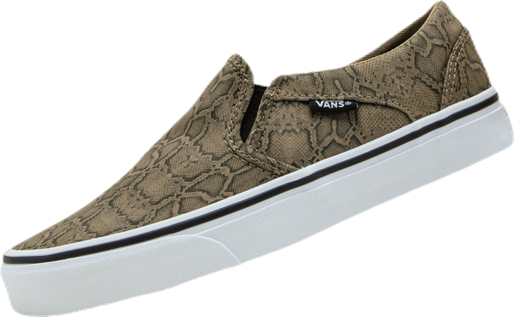 Asher Patterned