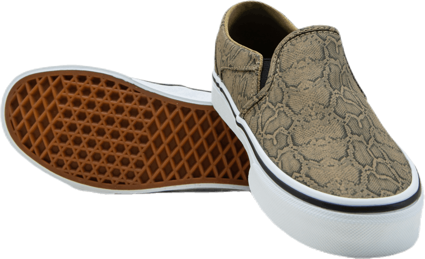Asher Patterned