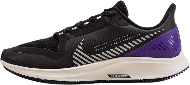 Air Zoom Pegasus 36 Shield Schwarz/Silber