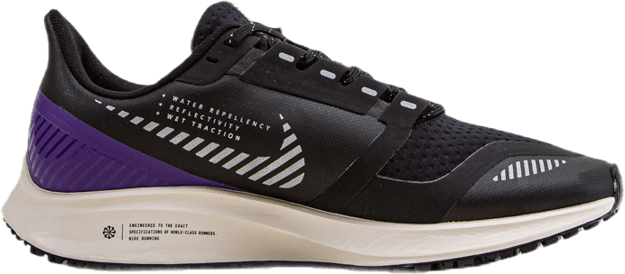 Air Zoom Pegasus 36 Shield Schwarz/Silber