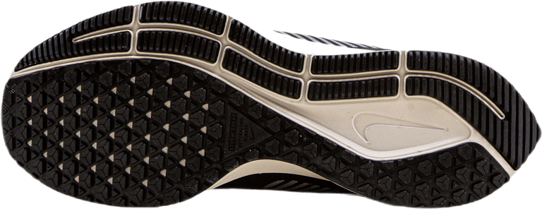 Air Zoom Pegasus 36 Shield Schwarz/Silber