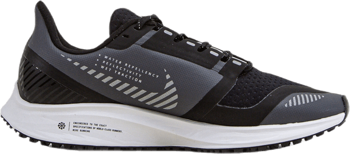 Air Zoom Pegasus 36 Schild Grau/Silber