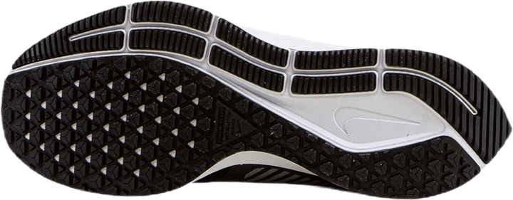 Air Zoom Pegasus 36 Schild Grau/Silber