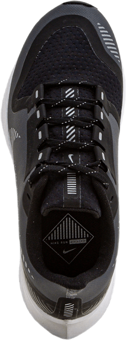 Air Zoom Pegasus 36 Schild Grau/Silber