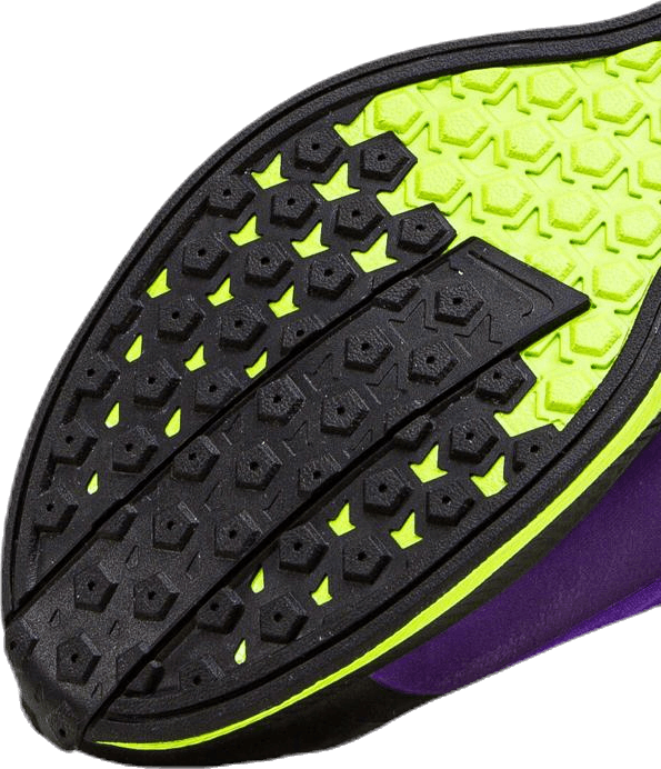 Zoom Pegasus Turbo Shield Purple/Black