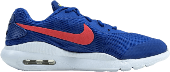 Air Max Oketo GS Blå