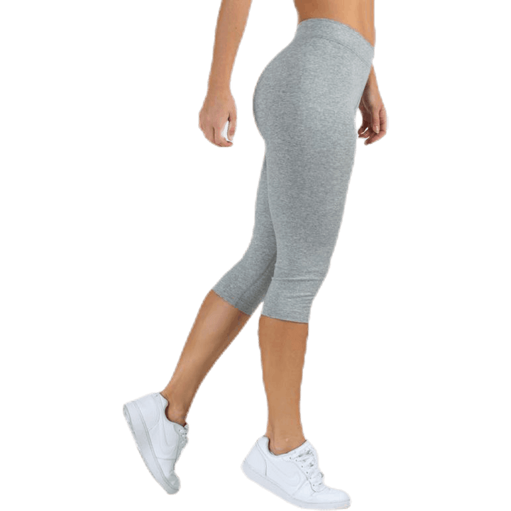 Nsw Legasee Leggings Grey