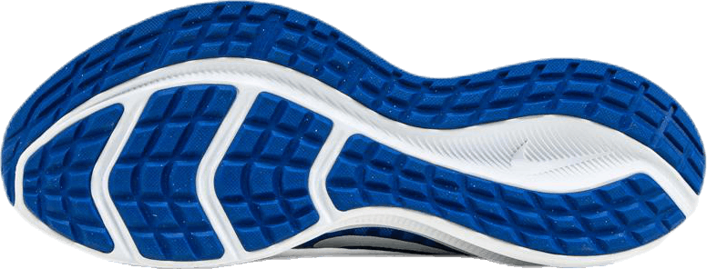 Downshifter 10 Blue/White