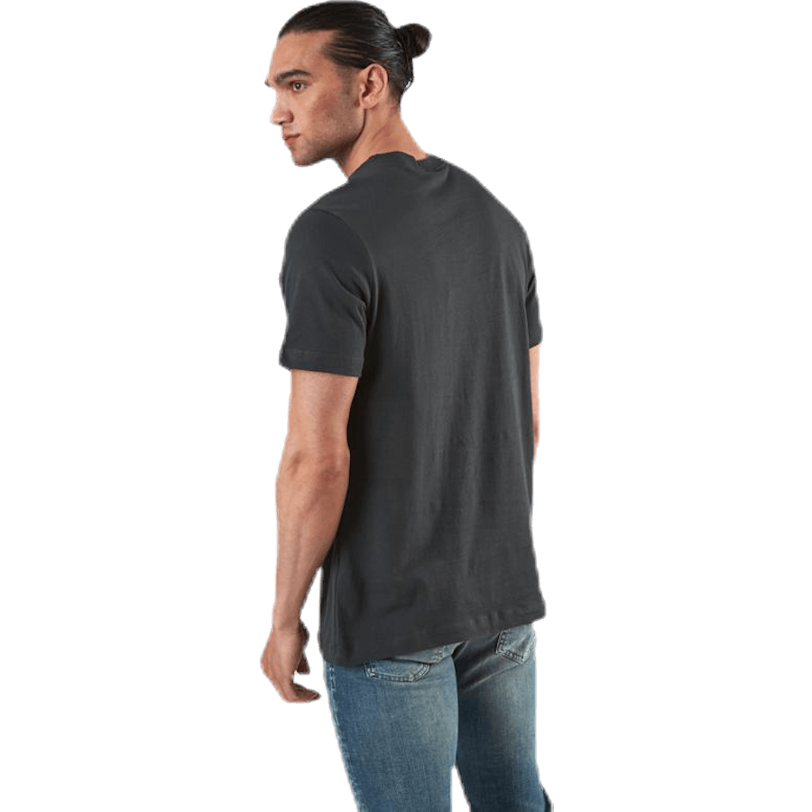 Nsw Festival Ss Tee Grey
