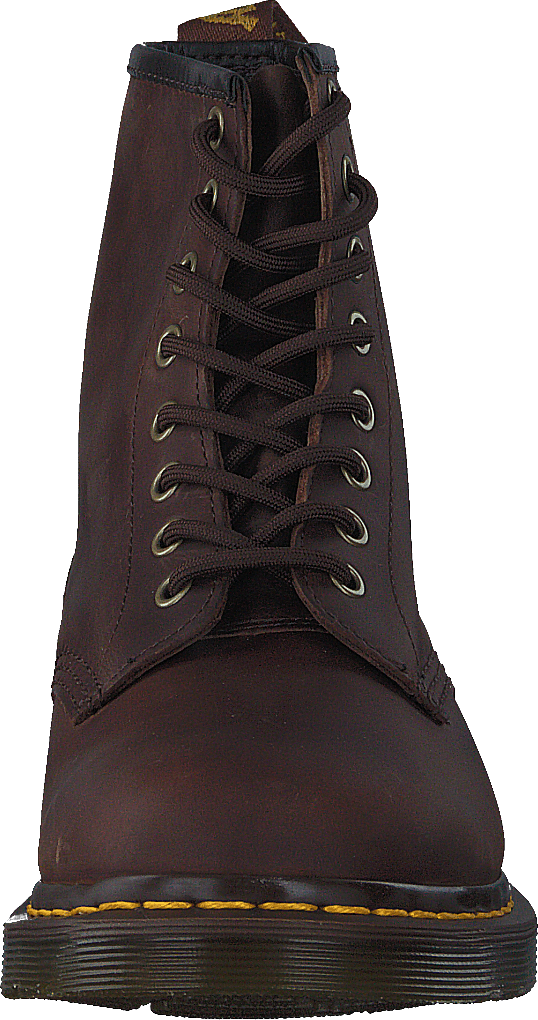 1460 Gaucho