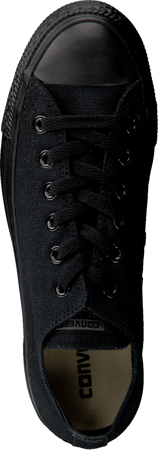 All Star Canvas Ox