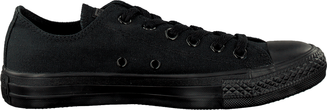 All Star Canvas Ox