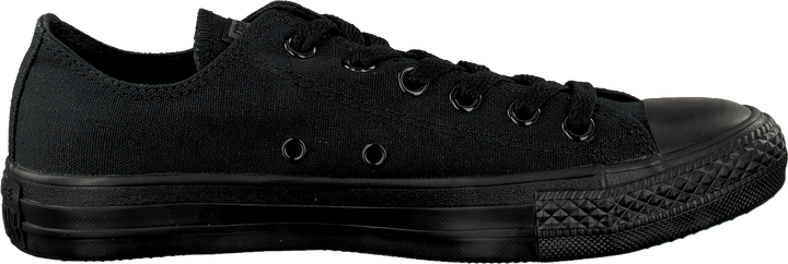 All Star Canvas Ox