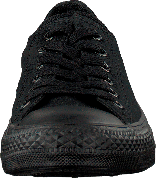All Star Canvas Ox