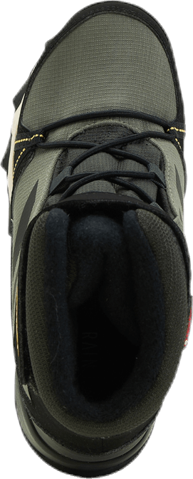 TERREX Snow CF CP CW Shoes Green / Black / Solar Gold