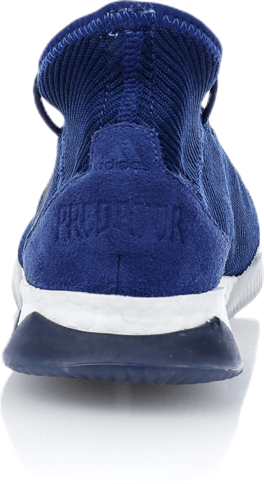 Predator Tango 18.1 Trainers Blue / Green