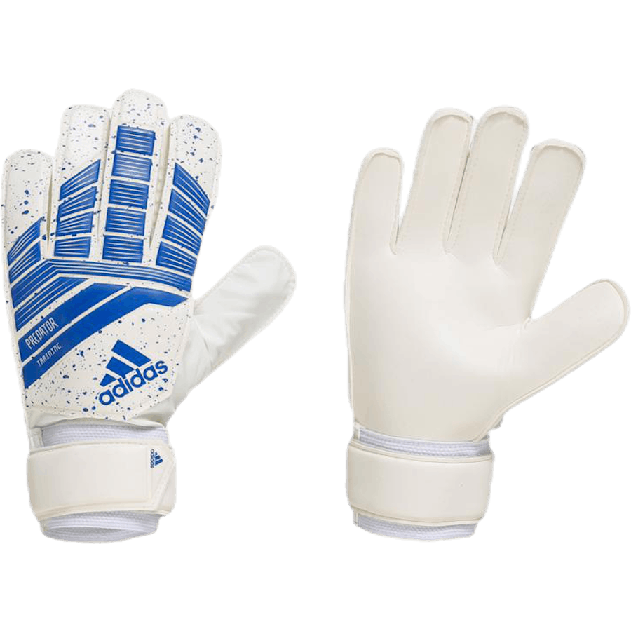 Predator träning blå/vit