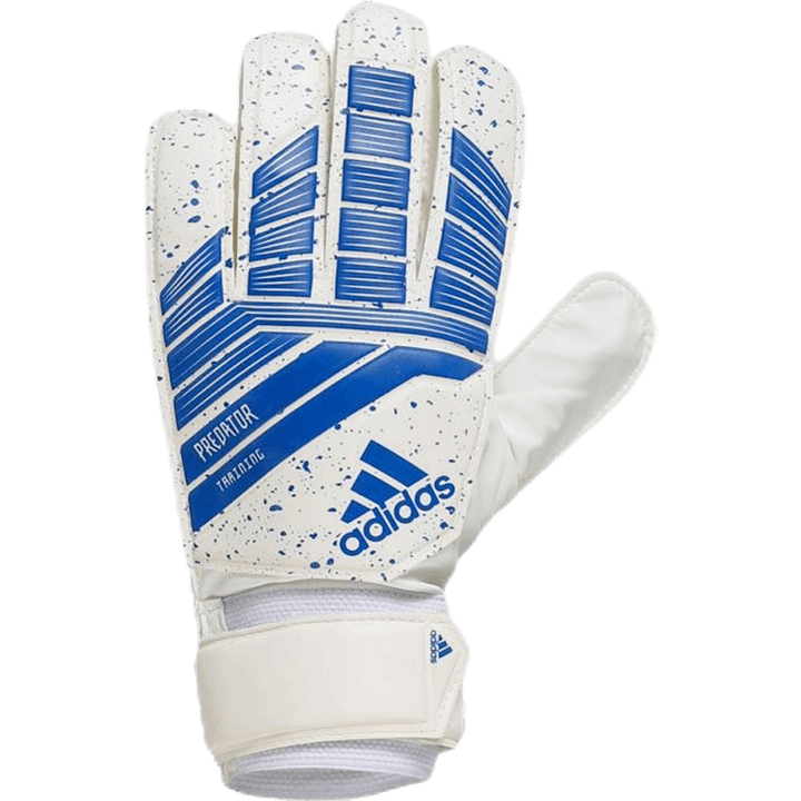 Predator träning blå/vit