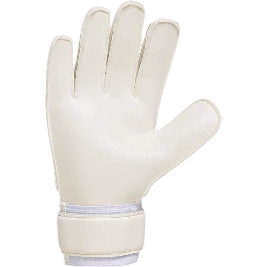 Predator träning blå/vit