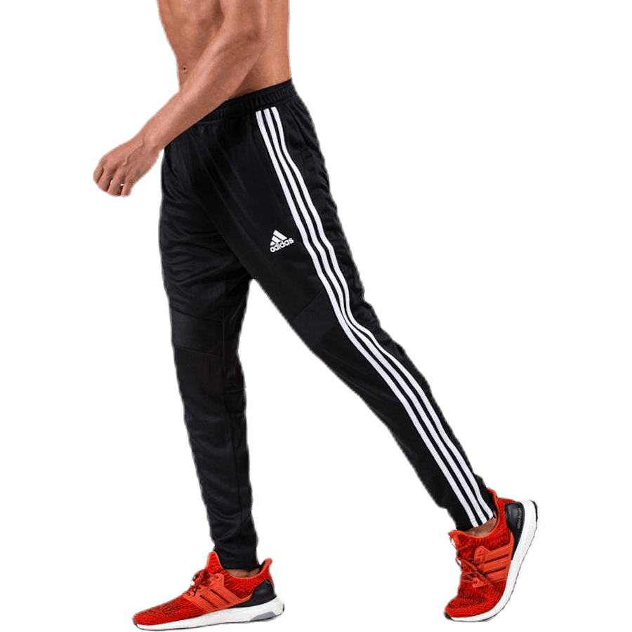 Tiro19 Training Pant Black / White