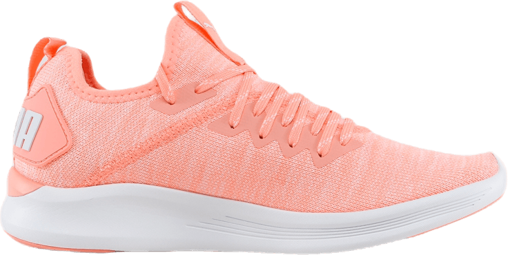 Ignite Flash evoKNIT Pink/White