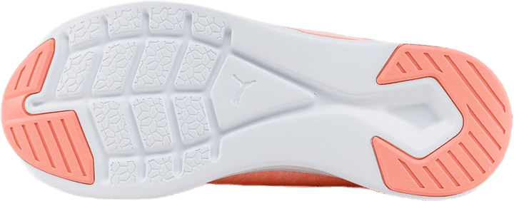 Ignite Flash evoKNIT Pink/White