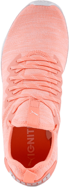 Ignite Flash evoKNIT Pink/White