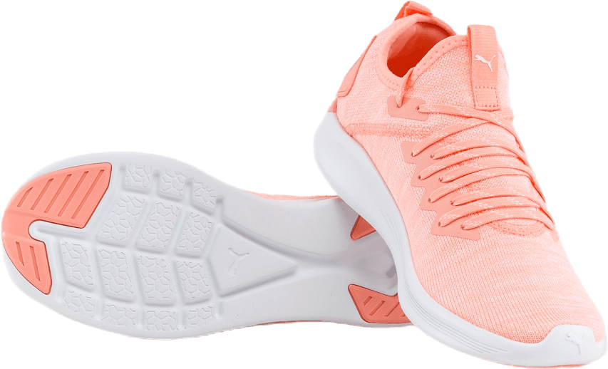 Ignite Flash evoKNIT Pink/White
