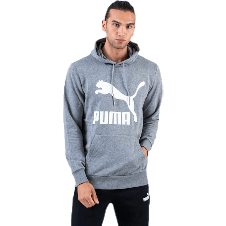 Classics Logo Hoody TR Hall
